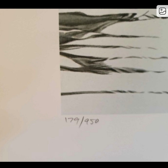 🦆Signed limited edition Ron Parker print "Mallard Family"🦆 (Unframed) - Picture 4 of 6